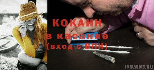 mdpv Вяземский