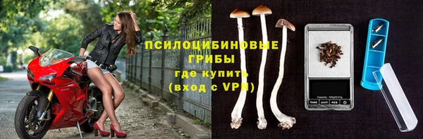 apvp Вязьма