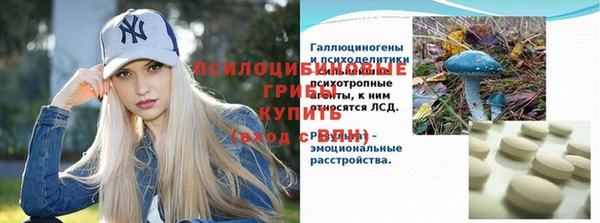 apvp Вязьма