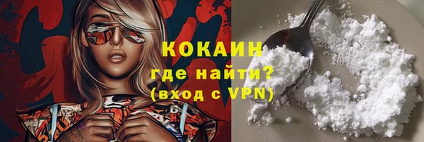mdpv Вяземский