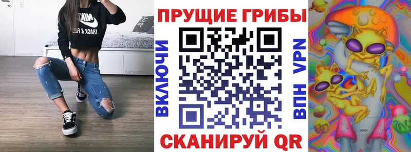 Купить где  Морозовск  Галлюциногенные грибы мицелий 